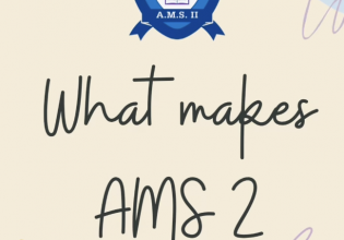What makes AMS 2 Special?